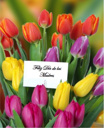 Feliz Dia De Las Madres – Pastor Walter