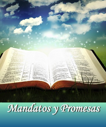 Mandatos y Promesas – Juan Carlos Rubio