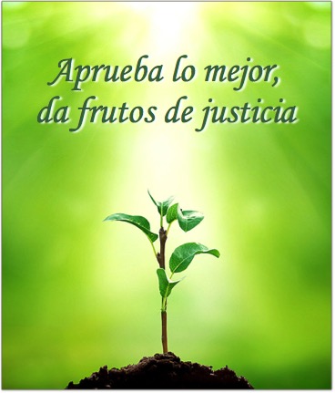 Aprueba lo Mejor – Da Fruto de Justicia