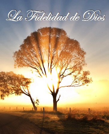 La Fidelidad De Dios – Walter Ramos