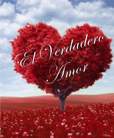 El Verdadero Amor – Eduardo Belmont
