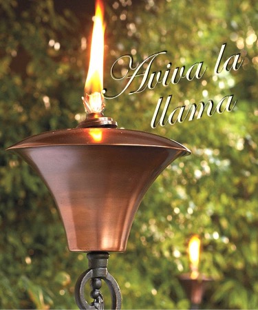 Aviva la llama – Pastor Walter Ramos