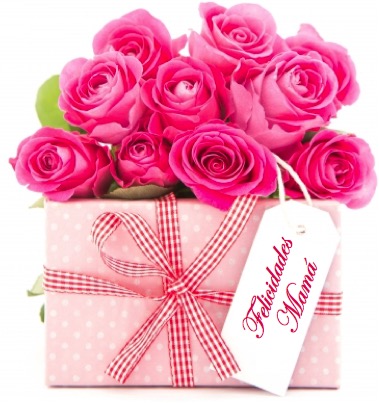 Especial para las Madres