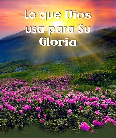 Lo que Dios usa para Su gloria – Pastor Otto de la Torre