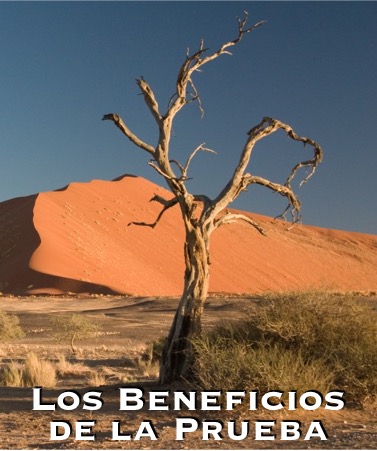 Los Beneficios de la Prueba – Pastor Walter Ramos