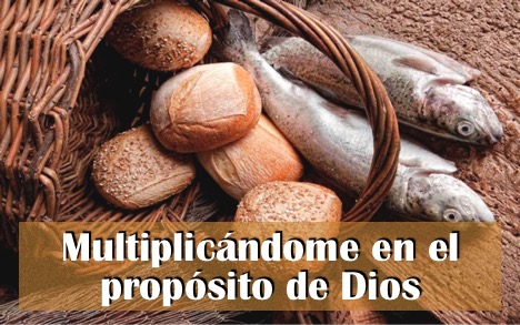 Multiplicándome en el Propósito de Dios – Pastor Miguel Cruz